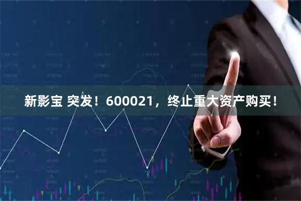 新影宝 突发！600021，终止重大资产购买！